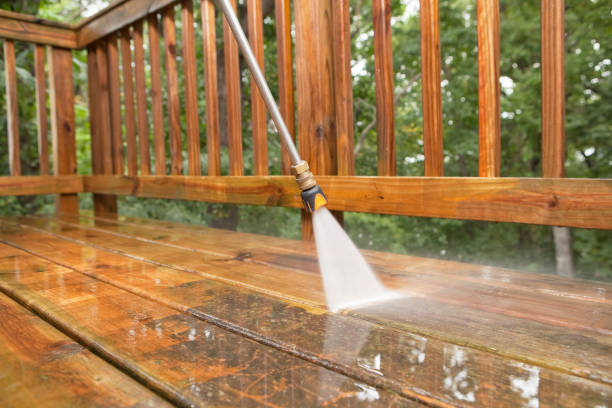 Animal Enclosure Cleaning in Greensburg, KY